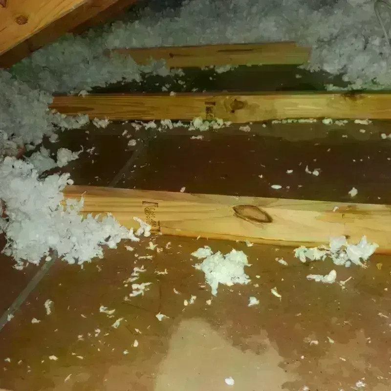 Attic Water Damage in Clarksville, IA