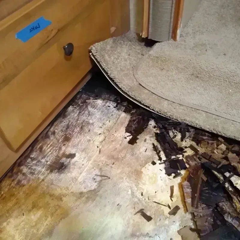 Best Wood Floor Water Damage Service in Clarksville, IA